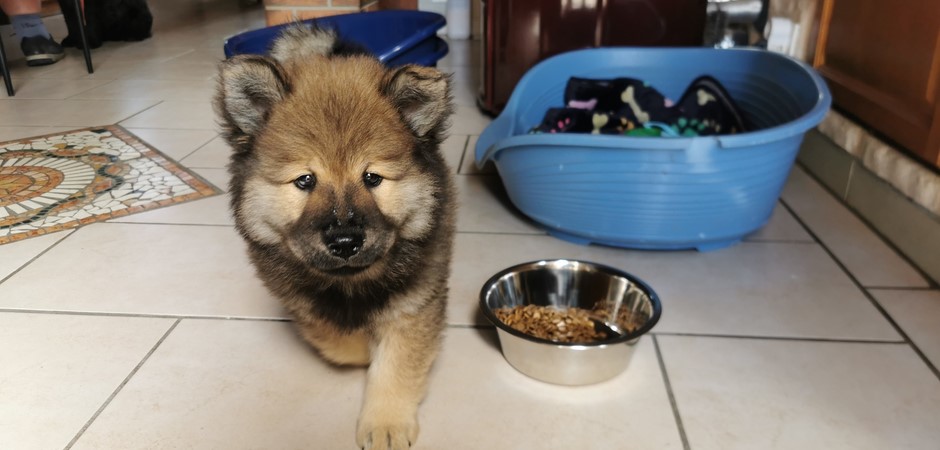 Aston 29-08-2025 (7).jpg